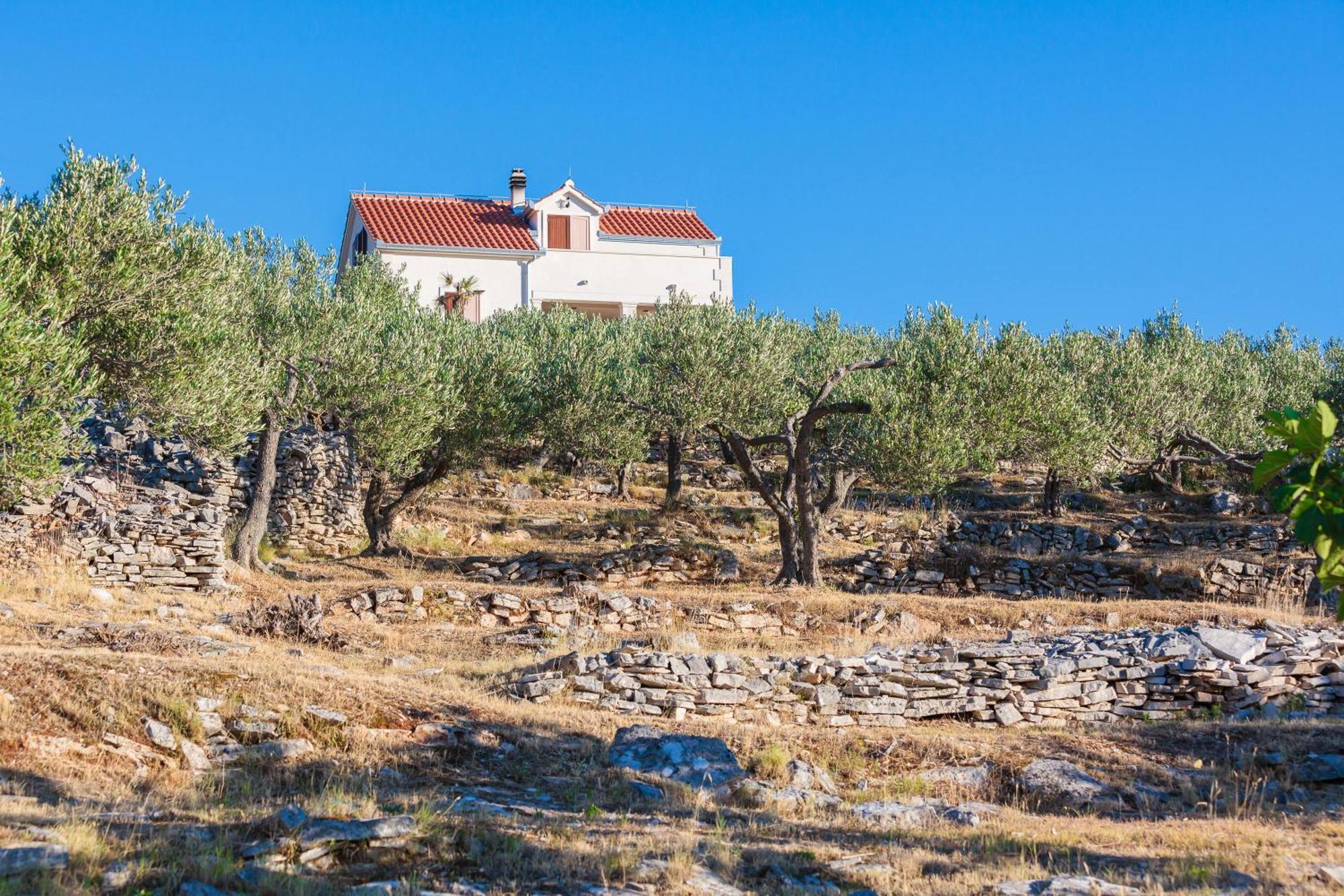 Villa Fani Supetar Kültér fotó